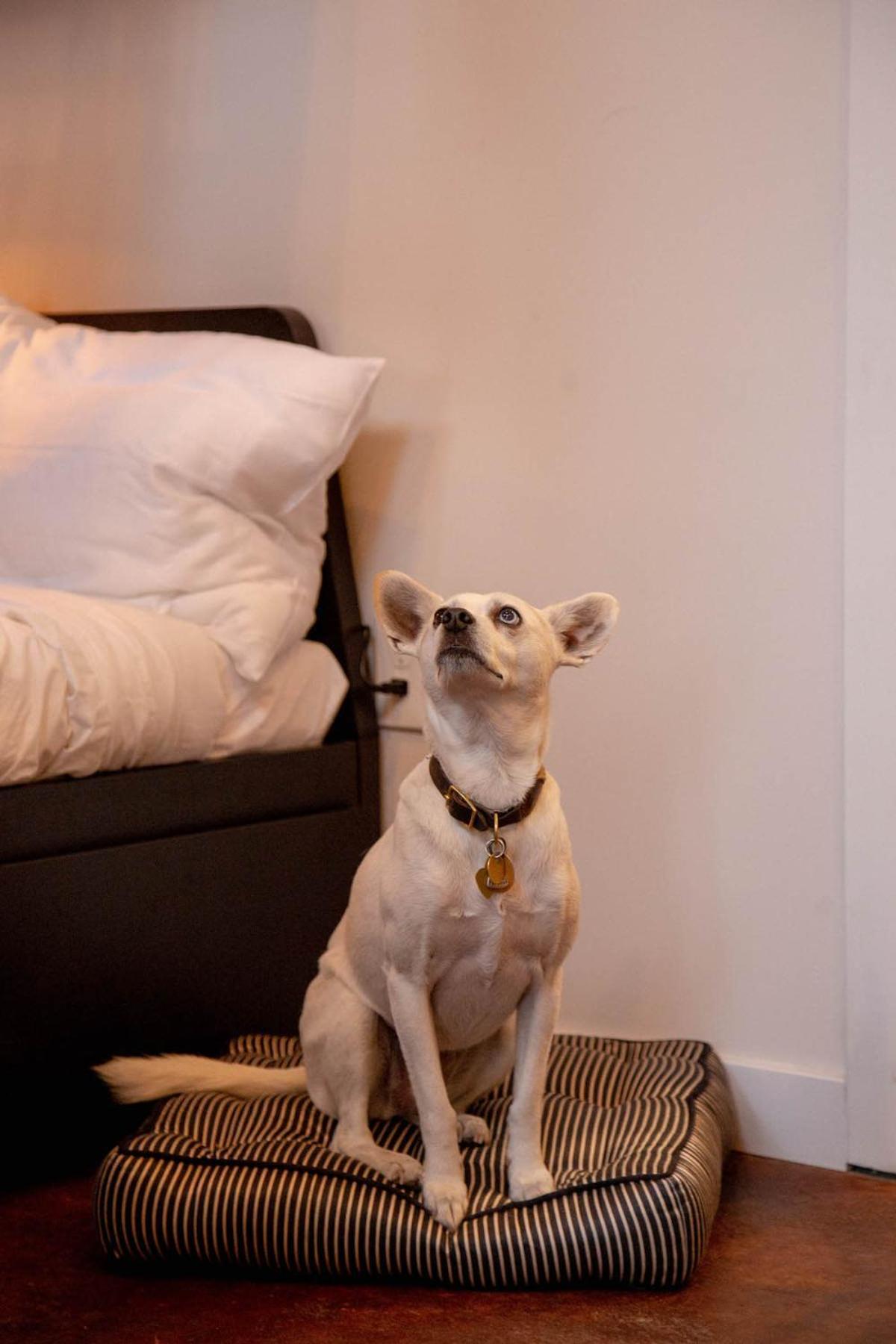 Reading Viaduct Loft, City Center, Contactless Check In Philadelphia Eksteriør bilde